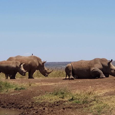 Teresita Home Jkia Nairobi Eksteriør billede
